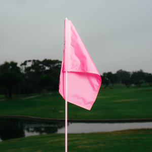 BCA- Pink Regulation Flags