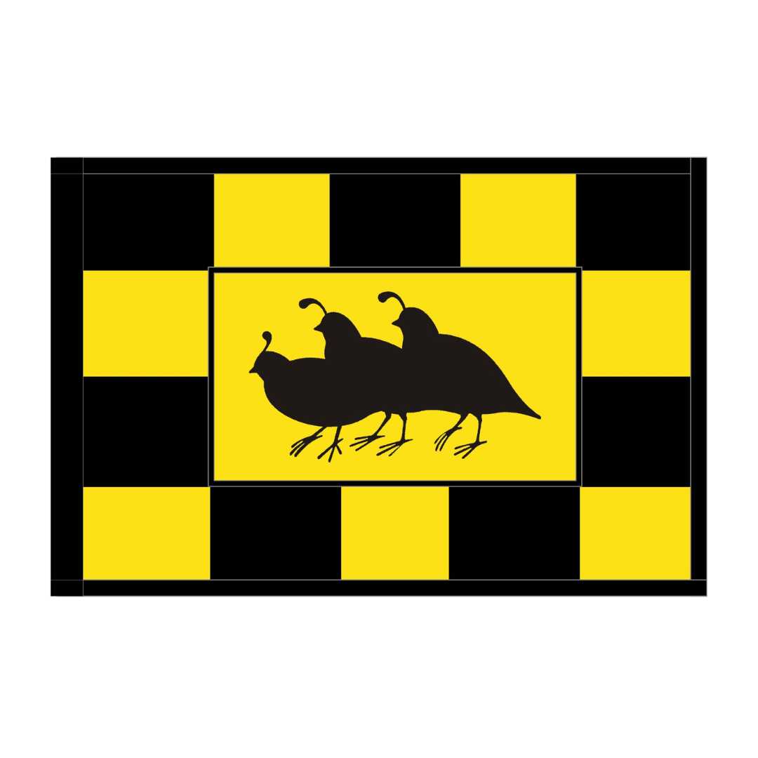 Custom Checkered Silkscreened Logo Regulation Flags