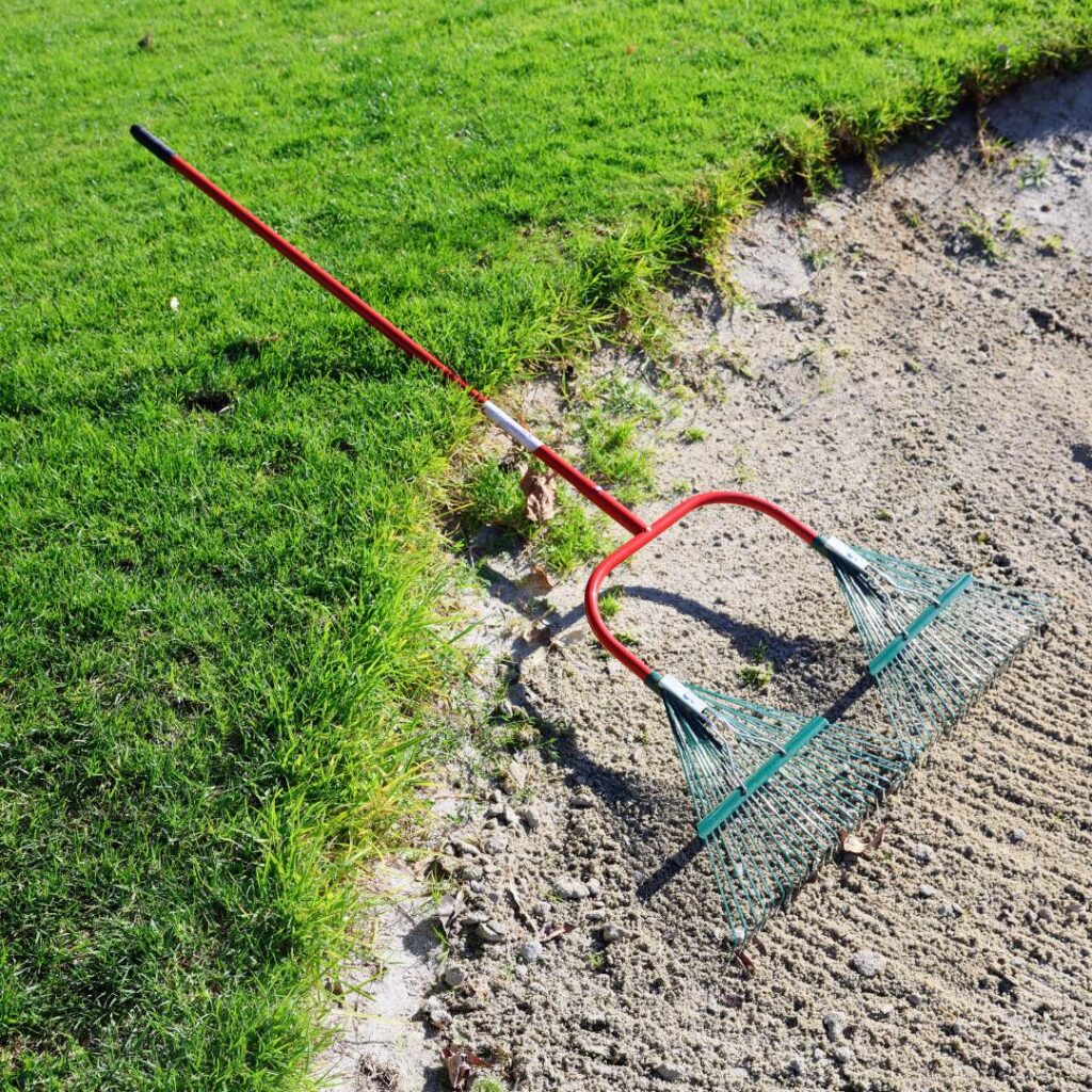 Dual Rake Head Dual Head Rake