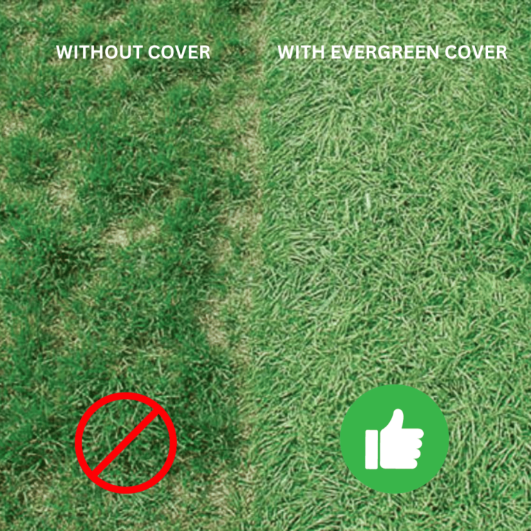 Evergreen Turf Covers - Par West Turf