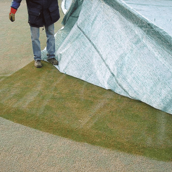 Evergreen Turf Cover