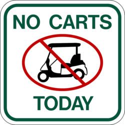 Image of No Carts Today Traffic Sign in white with green border and text