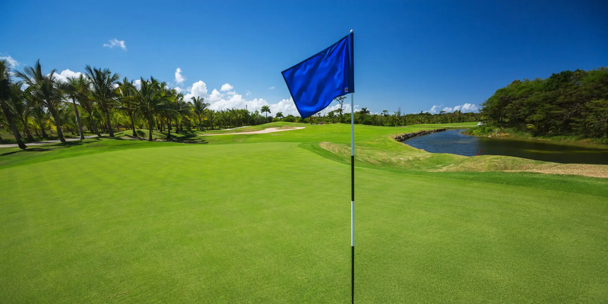 Blue Flag on Putting Green
