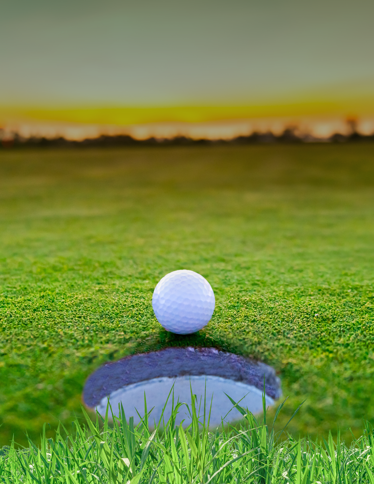 Golf Ball in Cup on Green