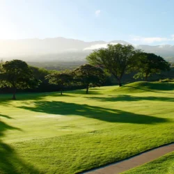 Fall & Winter Products