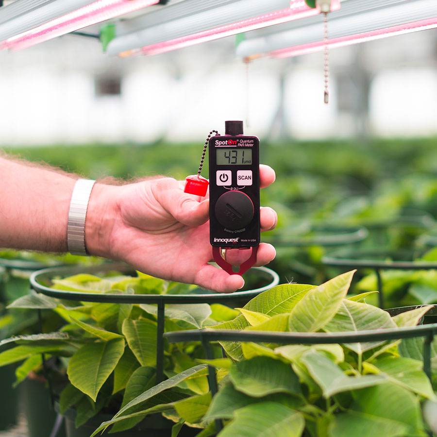 spoton-quantum-par-light-meter-led-light-greenhouse-innoquest-2019