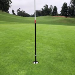 The Tacit Lifter Golf Ball Retriever & Cup Saver